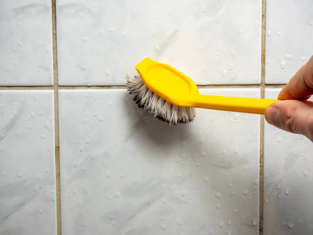 Best Mold Removal and Inspection  in Bonner Springs, KS