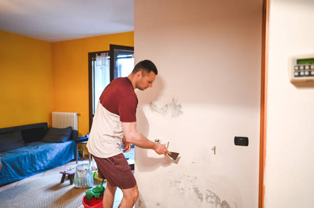 Best Crawl Space Mold Removal  in Bonner Springs, KS